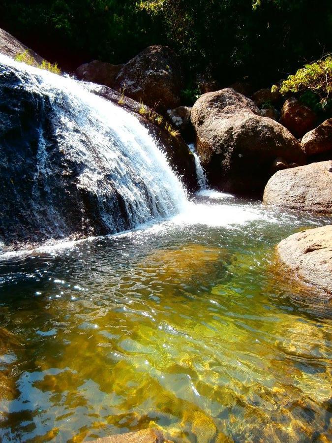 Hotel Vegas Del Rio Tamesis Ngoại thất bức ảnh